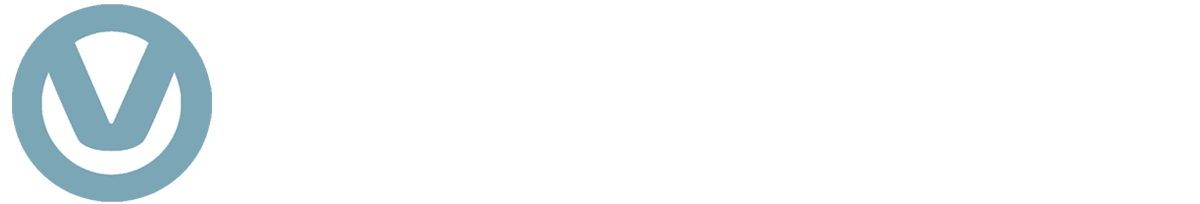 Vlogstreem video Streeming social media