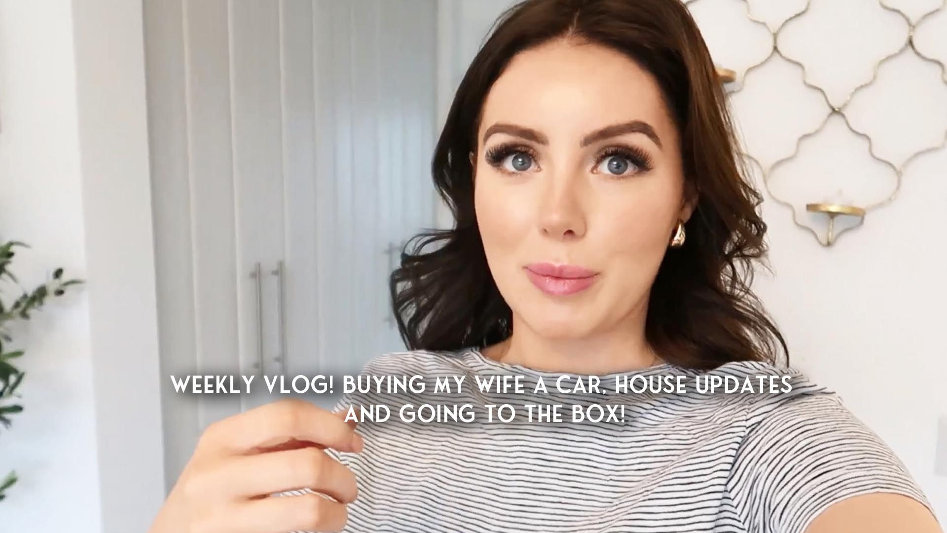 Weekly Vlog! Buying my wife a car, house updates and going to The Box!
