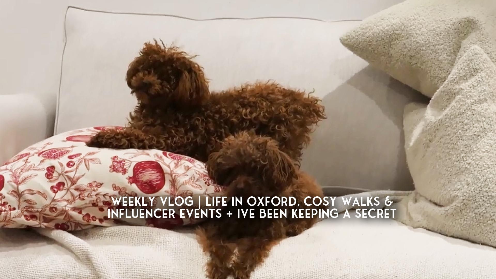 Weekly Vlog | Life in Oxford, Cosy Walks & Influencer Events